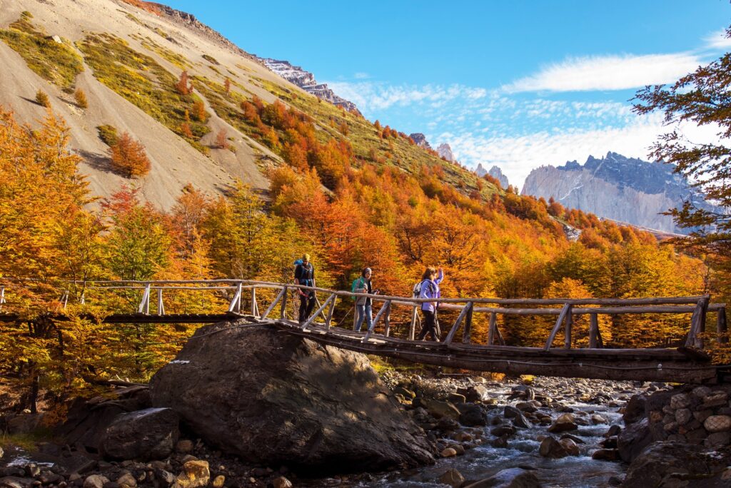 group of hikers walking in a guided tour on trail in Torres del Paine National Park in the falltime in Latin America