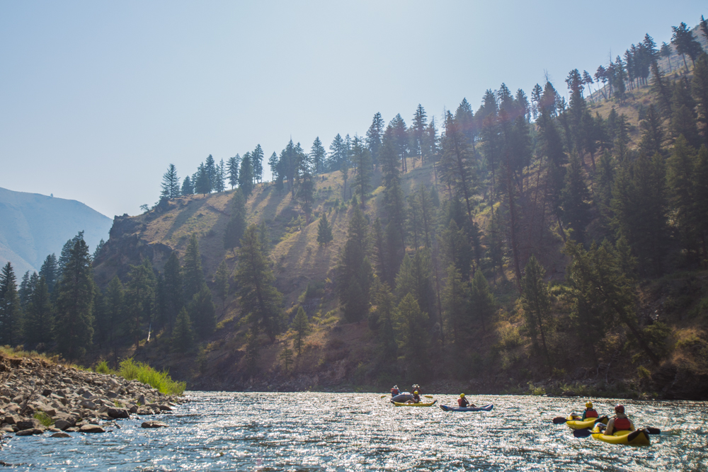 floating or rafting lazily on the Middle Fork of the Salmon River in Idaho, North America