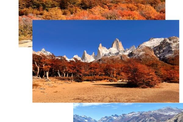 fall leaves and red and yellow flora in Argentina near Poincenot