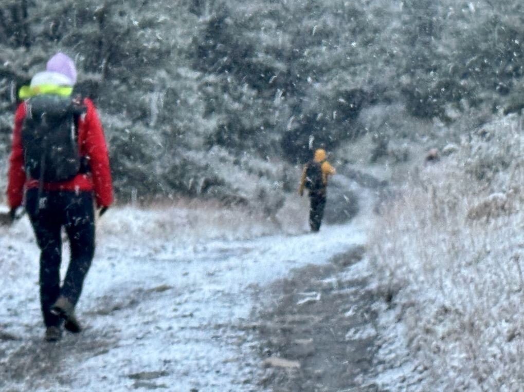 snowy day during walk from Laguna Capri to El Chalten in autumntime in Argentina