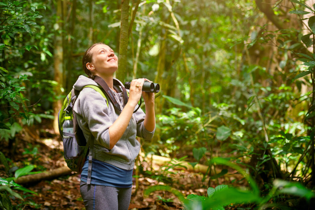 A person with a backpack and binoculars looks up while standing in a dense forest in Costa Rica's wildlife. Sunlight filters through the trees.