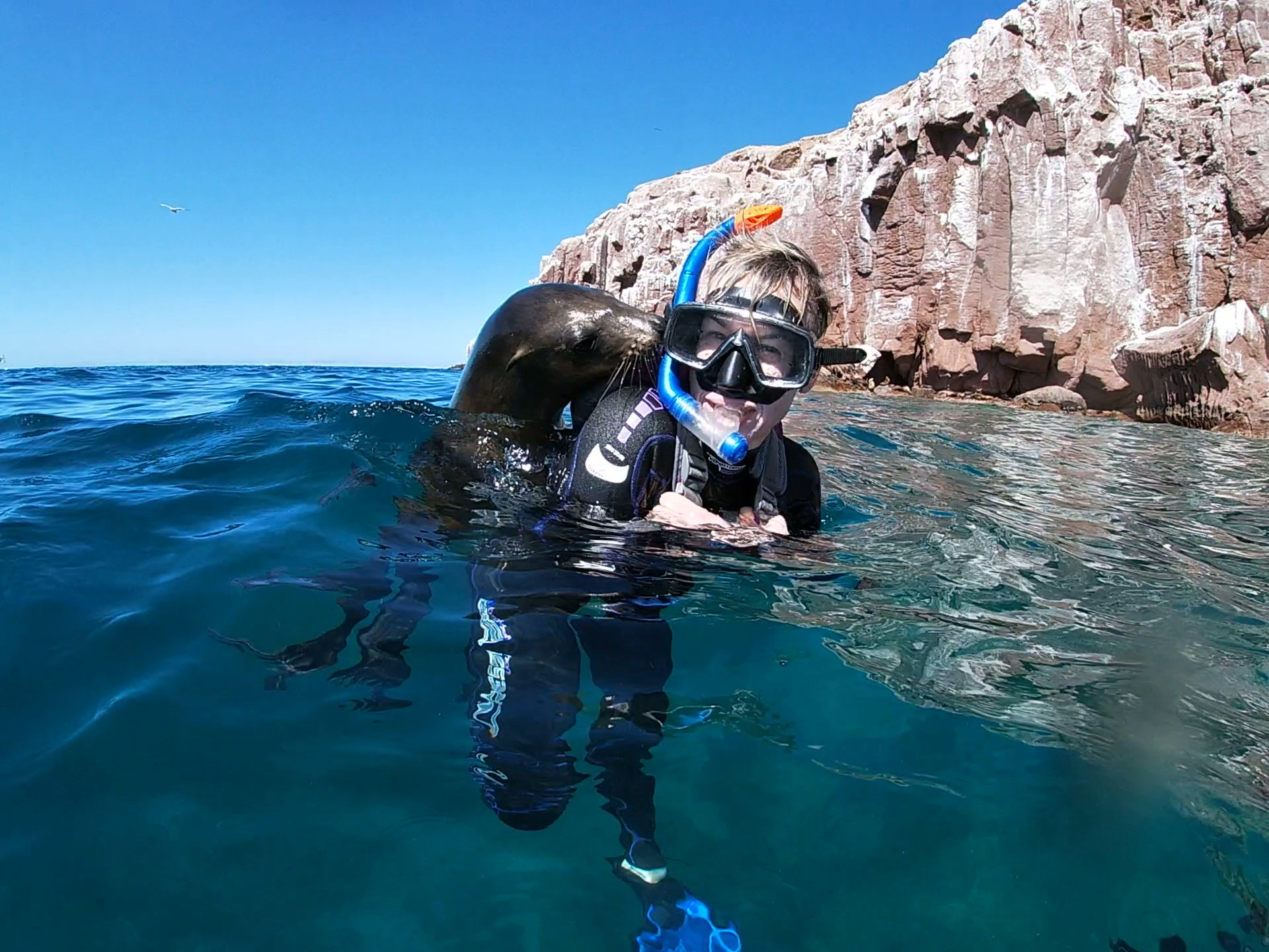 woman scuba diving with sea lions in Baja Sea of Cortez beach