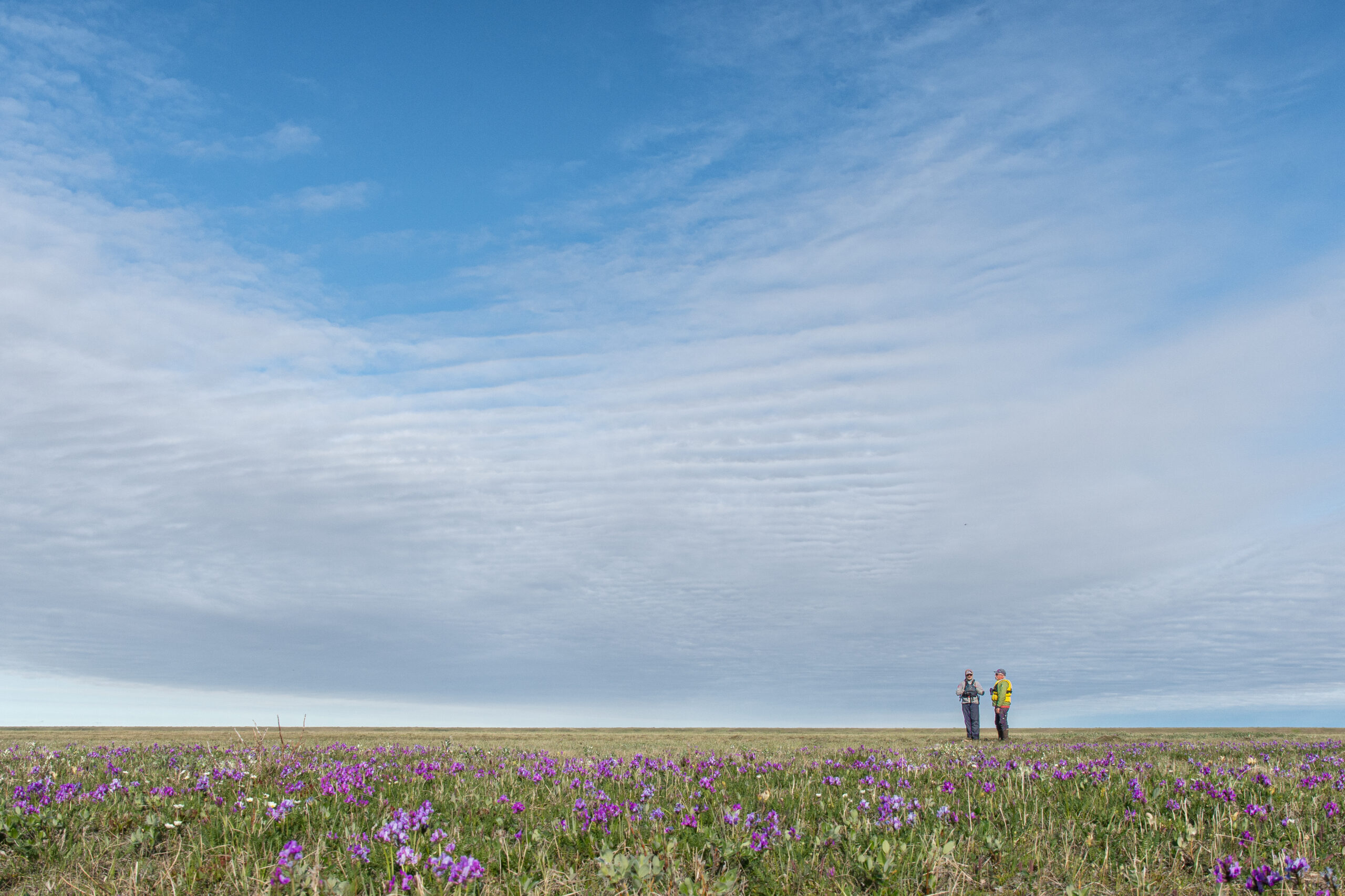 flora and fauna in Alaska Hula Hula River with guide Thirsty
