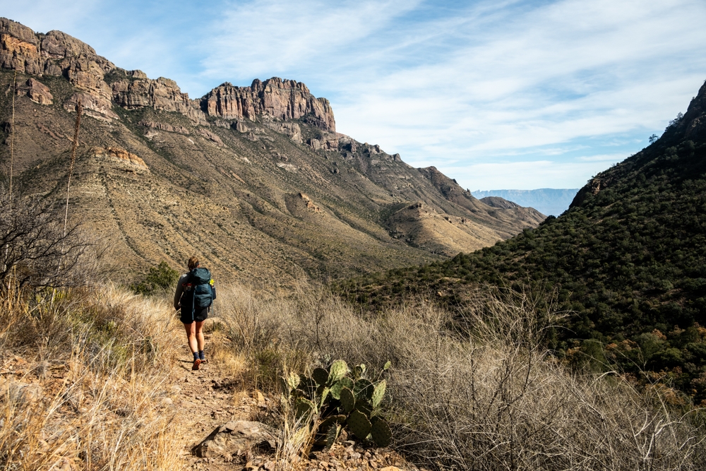 hiker heads down juniper canyon wilderness trail in Texas Big Bend National Park in North America