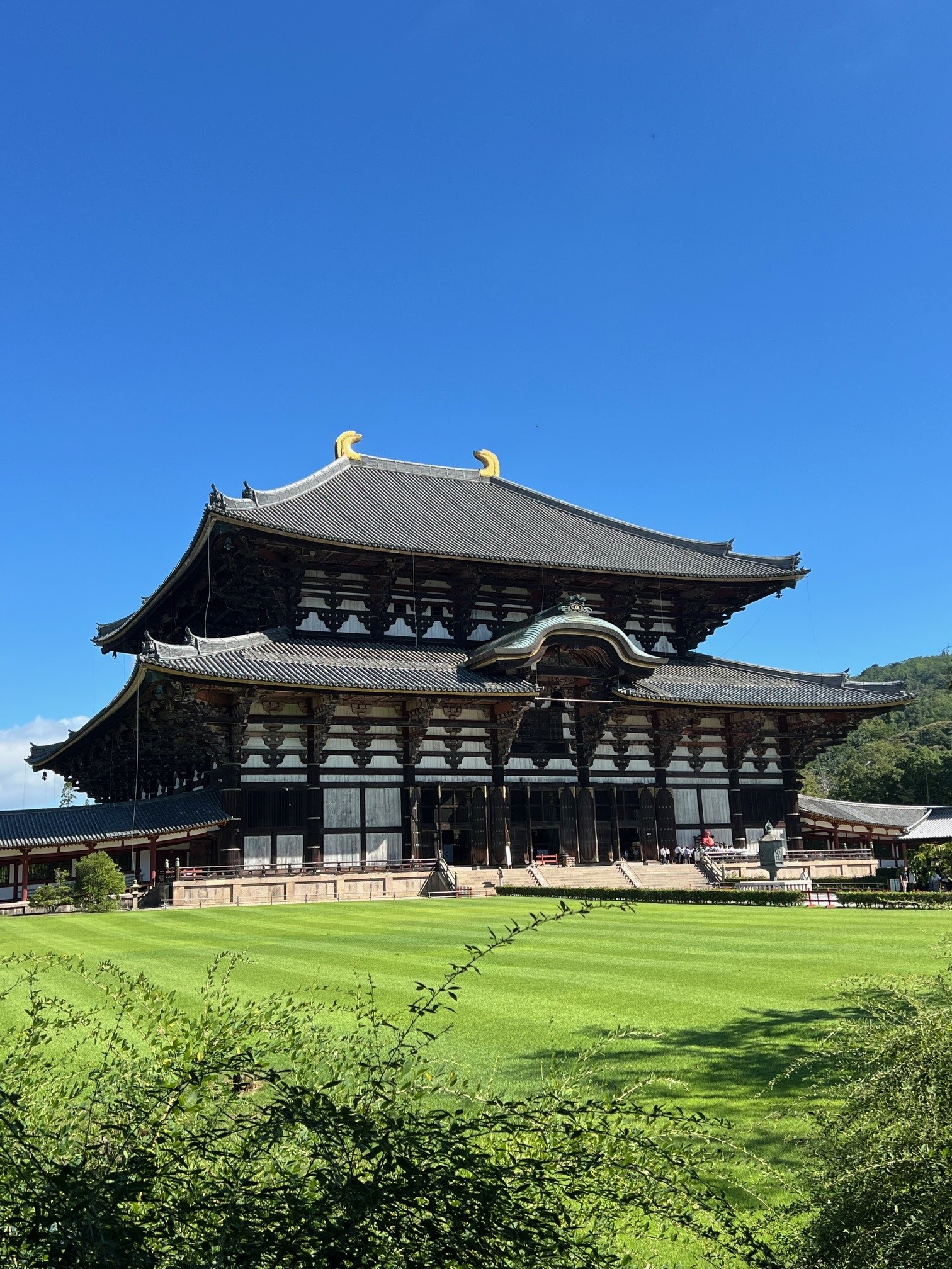 Tenryu ji Buddhist temple is a must-see in Kyoto, Japan