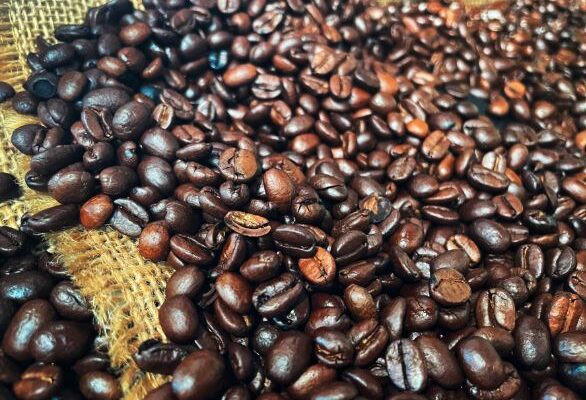 coffee beans in costa rica