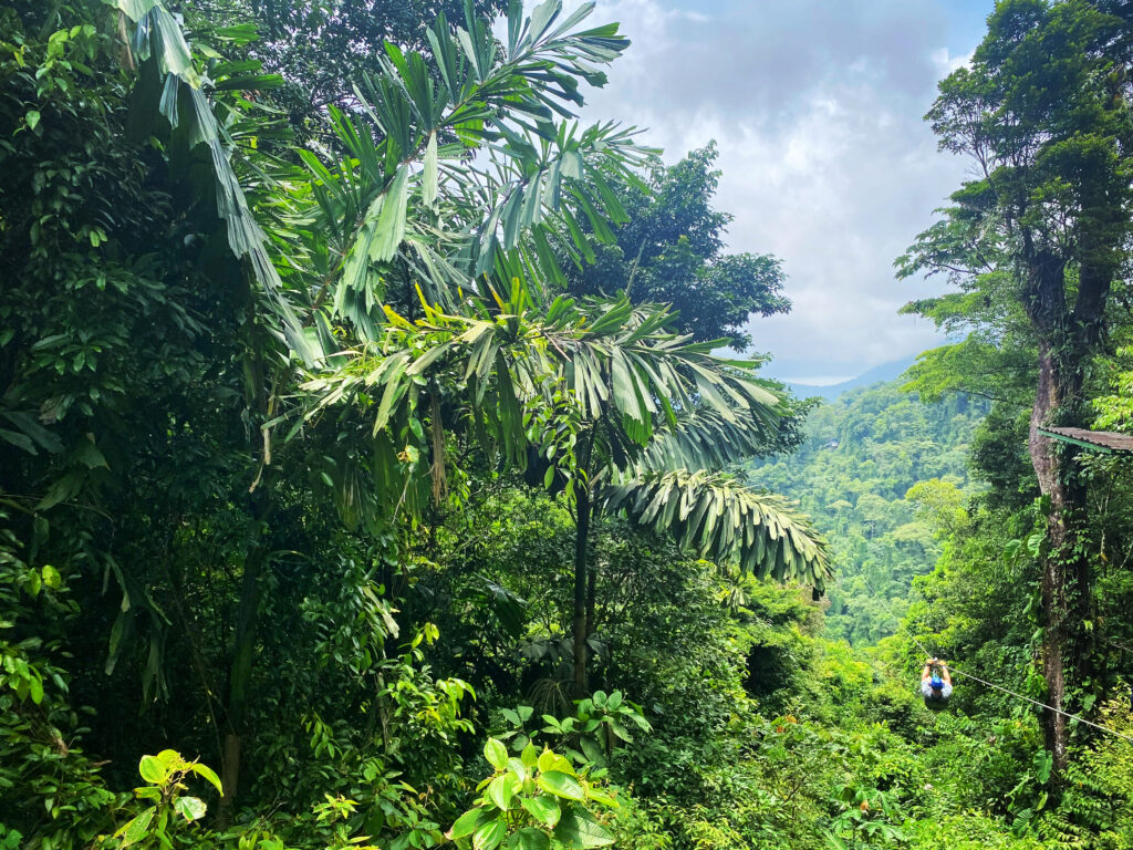 make sure to spend some time at Sky Adventures, a nearby zip-lining facility with incredible views of Lake Arenal