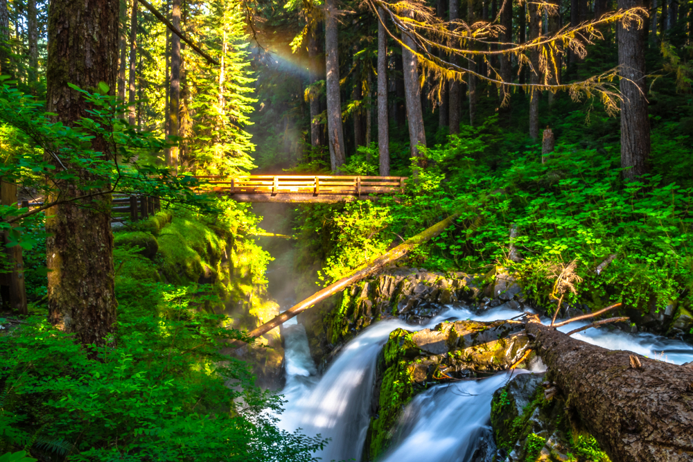 olympic national park lodge based camping and hiking