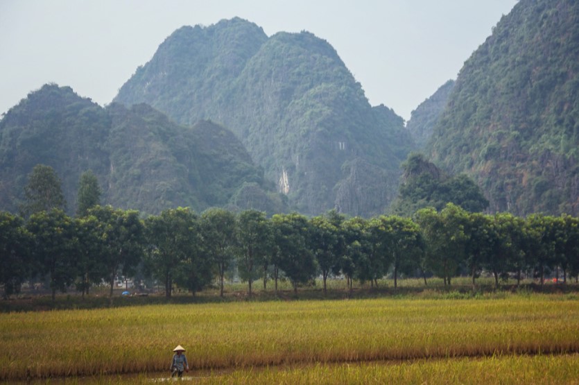 ninh binh, a ha long bay on land, in vietnam, asia