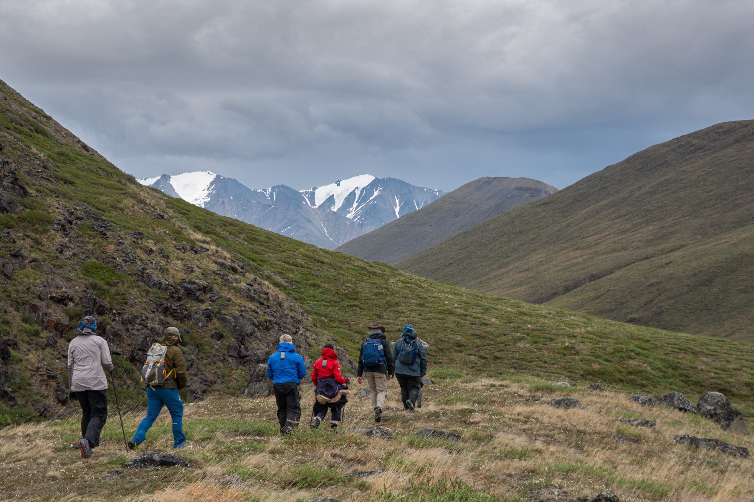 A group of six people wearing outdoor gear hike through a grassy mountain valley with snow-capped peaks visible in the distance under a cloudy sky, capturing the spirit of unforgettable Alaska tours.