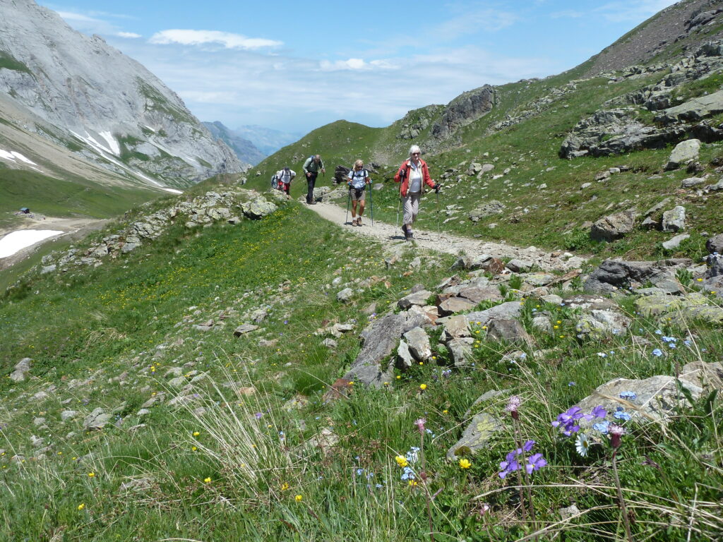 Mont Blanc with blooming wildflowers in the Alps