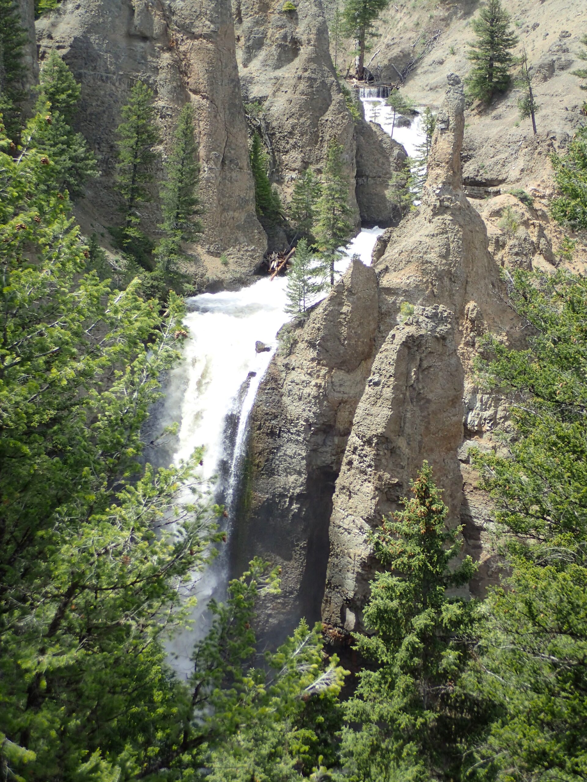 yellowstone national park