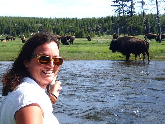 yellowstone national park