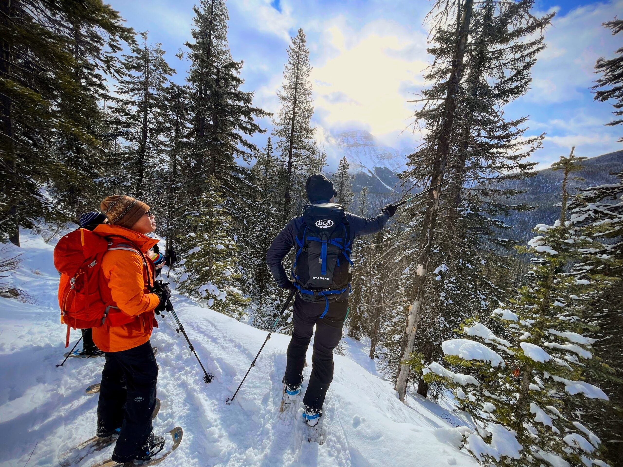 Two people with backpacks and snowshoes stand on a snowy slope in a forest, one pointing ahead toward sunlit mountains—just the kind of adventure you’ll find on the best MT Sobek Canadian Rockies hiking tours.