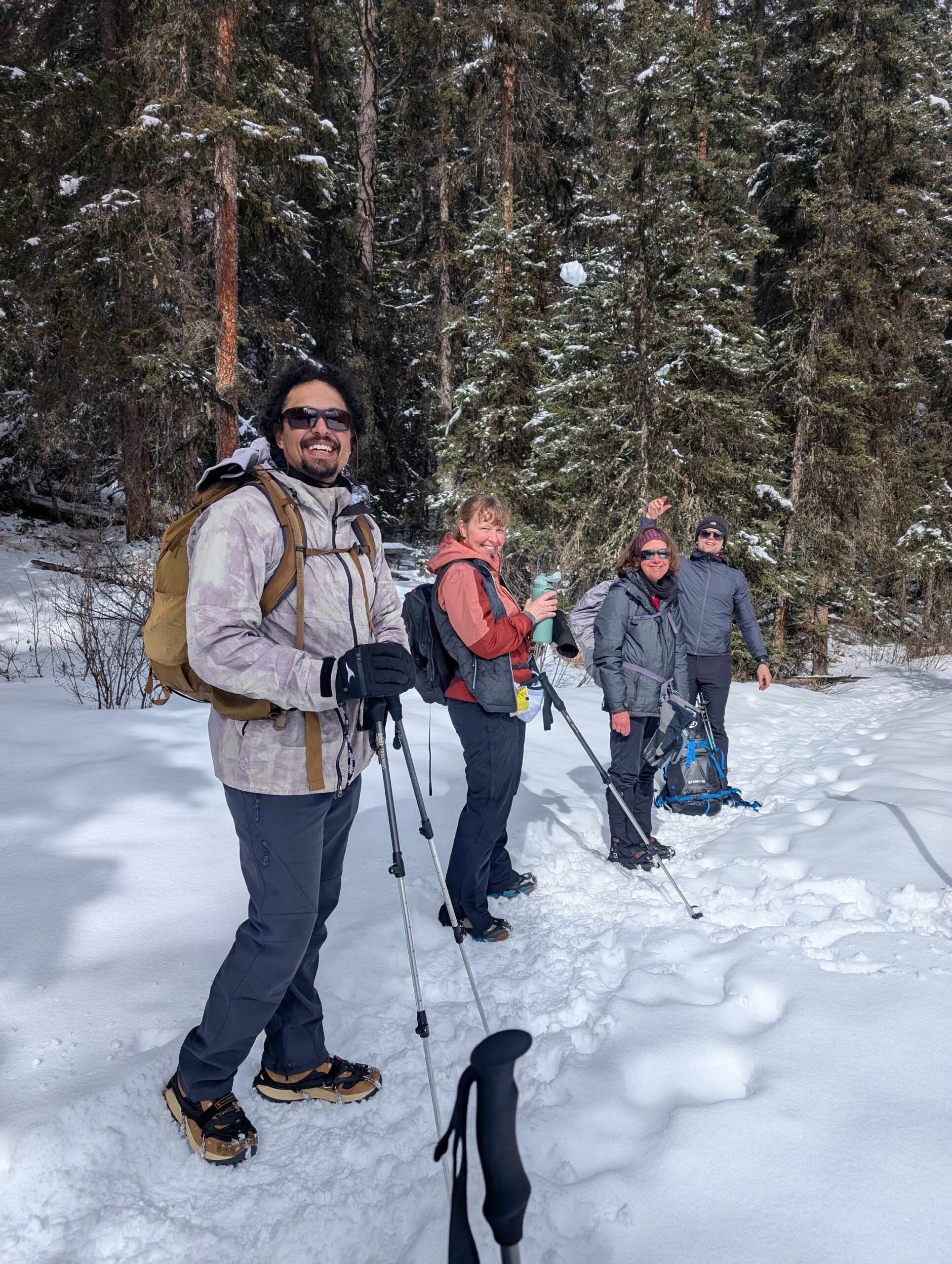 Four people dressed in winter gear stand on a snowy trail in a forest, holding hiking poles and backpacks—on the best MT Sobek Canadian Rockies hiking tours, surrounded by trees and snow in the background.
