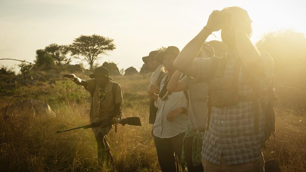 walking in the serengeti in Tanzania