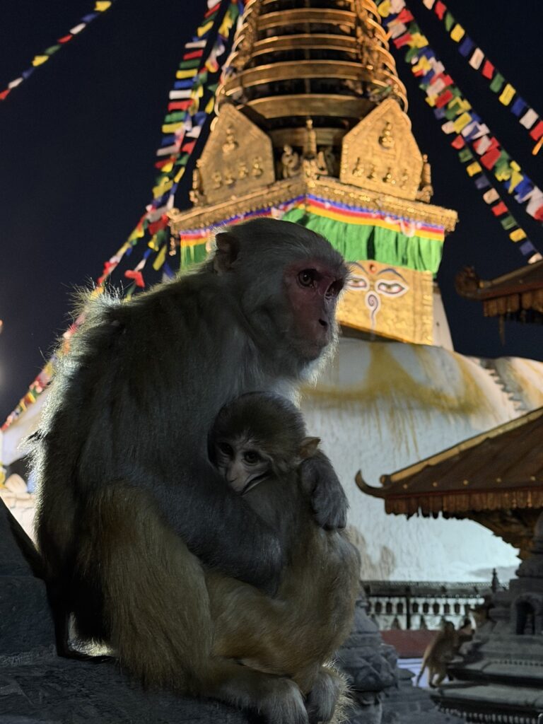 Annapurna Lodge to Lodge Trek Top 10 MT Sobek Photo Contest Winner of 2025 - Howard London