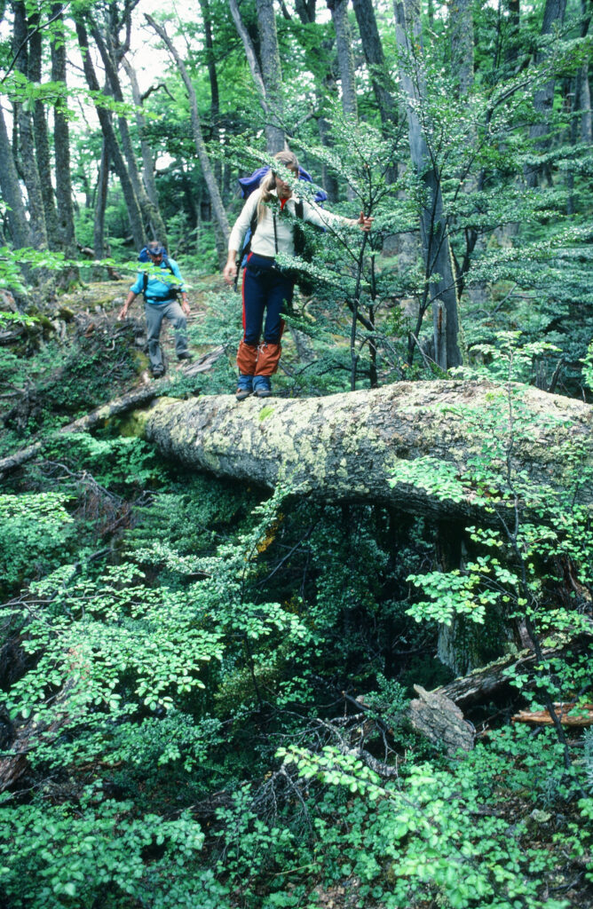 gardener expedition in patagonia hiking through deep ravines