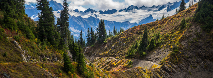 mt olympic park in pacific northwest hiking