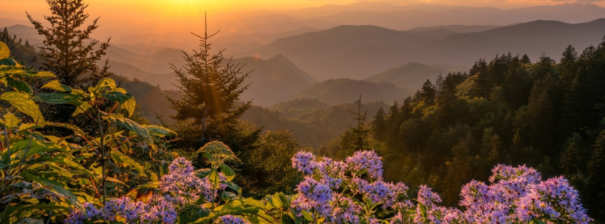 tennessee smoky mountains hiking