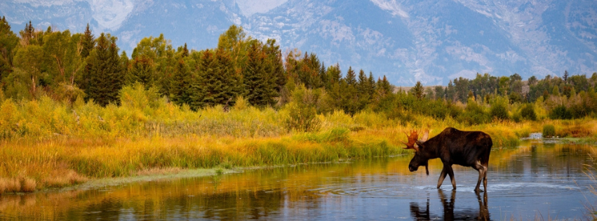 hiking in prince william national park in alaska