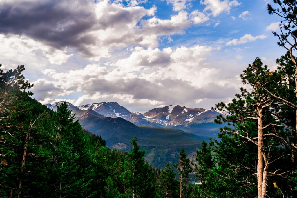 rocky mountains national park scenery and trees