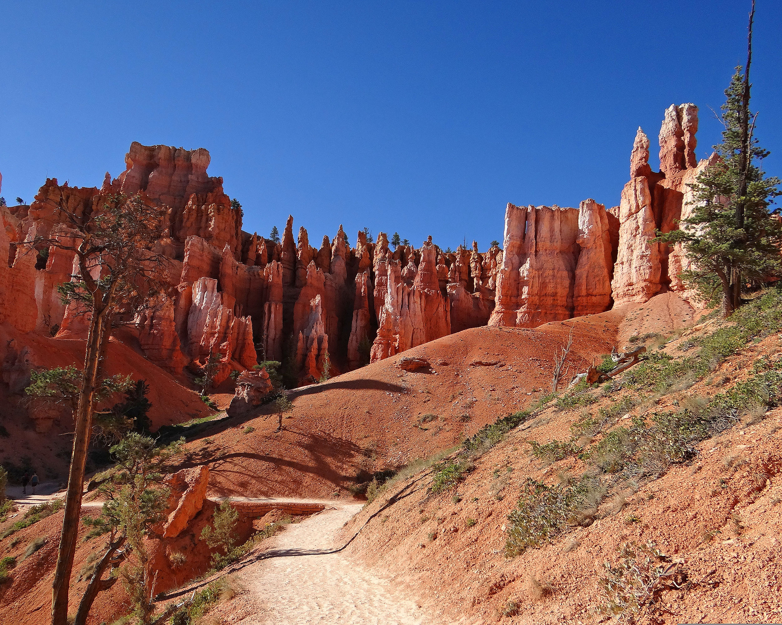 Our Favorite Bryce Canyon Hikes
