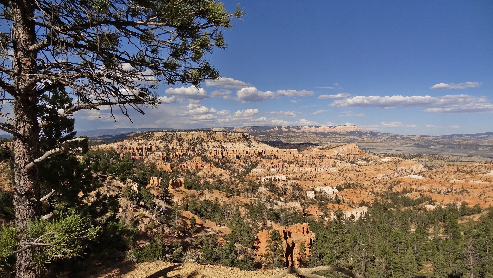 bryce canyon rim hiking option
