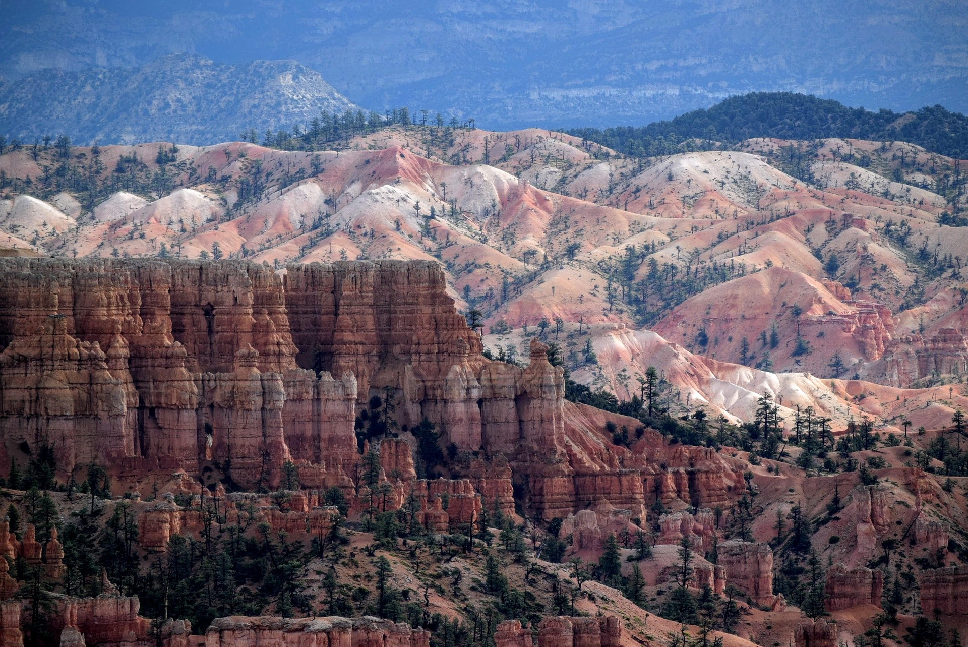 roadtripping to see bryce canyon at high elevation